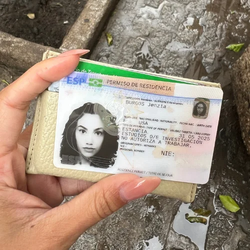 Spain student residency permit (TIE) card used for the NALCAP English teaching program.